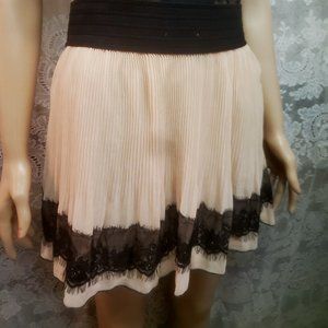 Charlotte Russe skirt